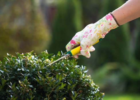 Seasonal planting and hard landscaping in a Boundsgreen garden