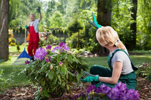 Professional landscapers creating a Boundsgreen garden design