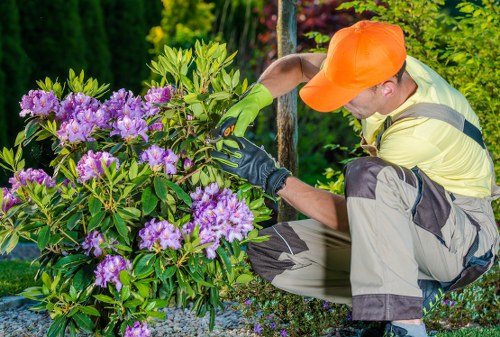 Professional tree lopping and removal work in Boundsgreen garden