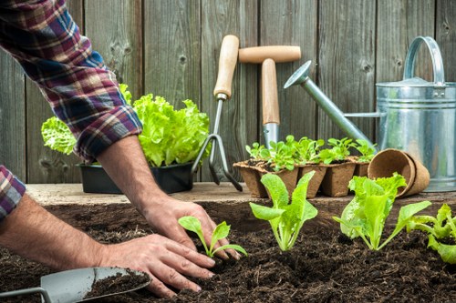 Professional lawn mowing service maintaining a suburban garden in Boundsgreen