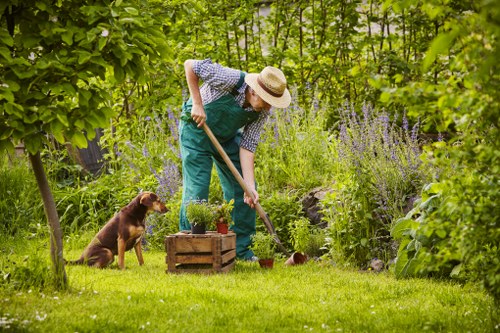 Accessibility-focused landscaping website on a screen reader compatible interface