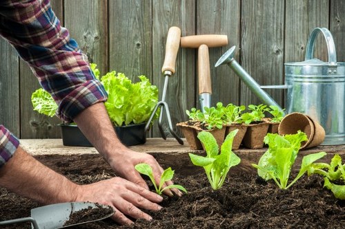 Landscaper reviewing site safety procedures during outdoor work