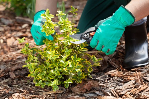 Professional landscaping team introducing Boundsgreen outdoor services