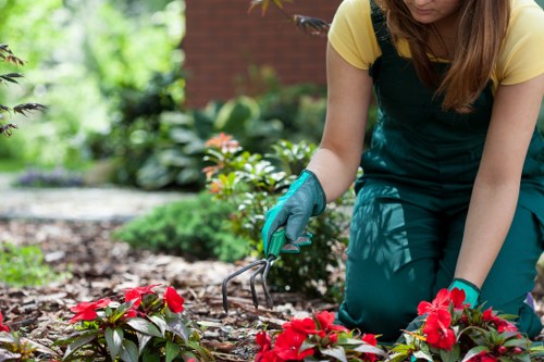 Landscapers Boundsgreen team reviewing ethical work practices in a landscaped setting