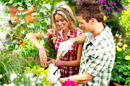 Ongoing accessibility improvements for Landscapers Boundsgreen website experience