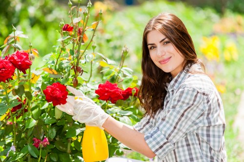 Healthy lawn care in Boundsgreen with freshly cut grass