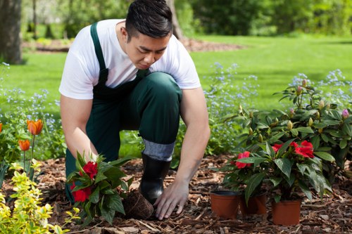 Example garden clearance jobs for Boundsgreen properties
