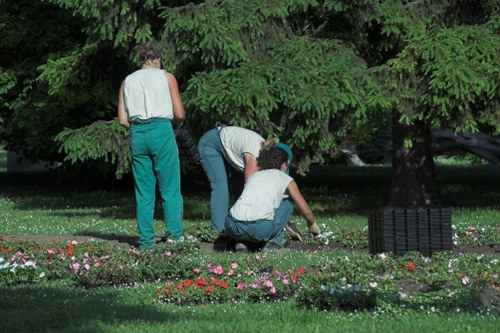 Boundsgreen landscape gardeners creating a modern outdoor living space