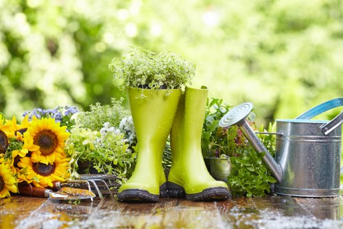 Soil improvement and watering for lawn care in Boundsgreen