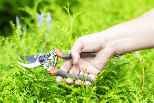 Garden hedge shaping and maintenance work in Boundsgreen
