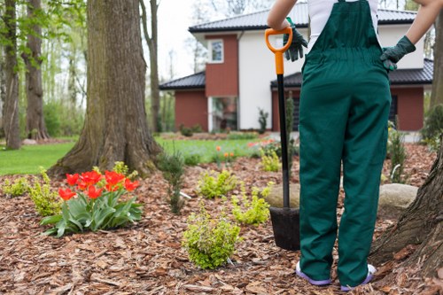 Annual review of modern slavery controls within Landscapers Boundsgreen