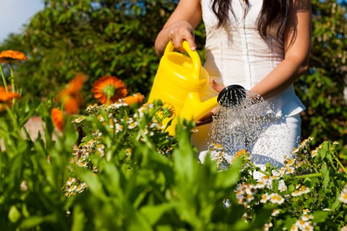Garden waste collection and site cleanup in Boundsgreen