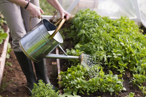 Ongoing garden maintenance by landscape gardeners in Boundsgreen